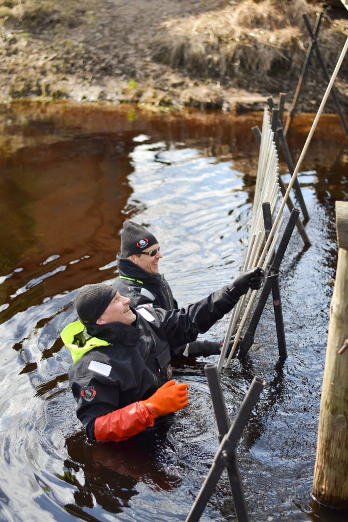 Två män i vattnet som genomför en vattenvårdsåtgärd. 